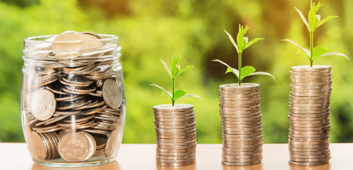 Featured image — Survive & Thrive part 6: money matters