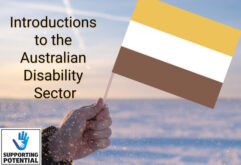 Introductions to the Australian Disability Sector