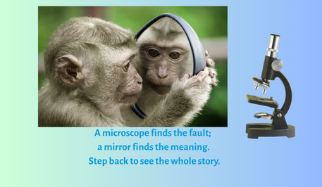 A microscope finds the fault; a mirror finds the meaning. Step back to see the whole story. (457 x 266 px) (3) "A curious monkey stares into a mirror, its reflection meeting its gaze. A microscope nearby connects symbolically to the mirror, with the quote: 'A microscope finds the fault; a mirror finds the meaning. Step back to see the whole story.'